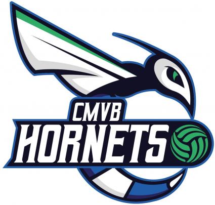 Logo Hornets